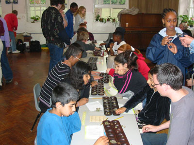 Pupils and Teachers playing each other